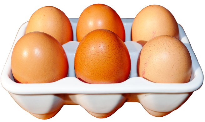 egg-2747445_1920.png
